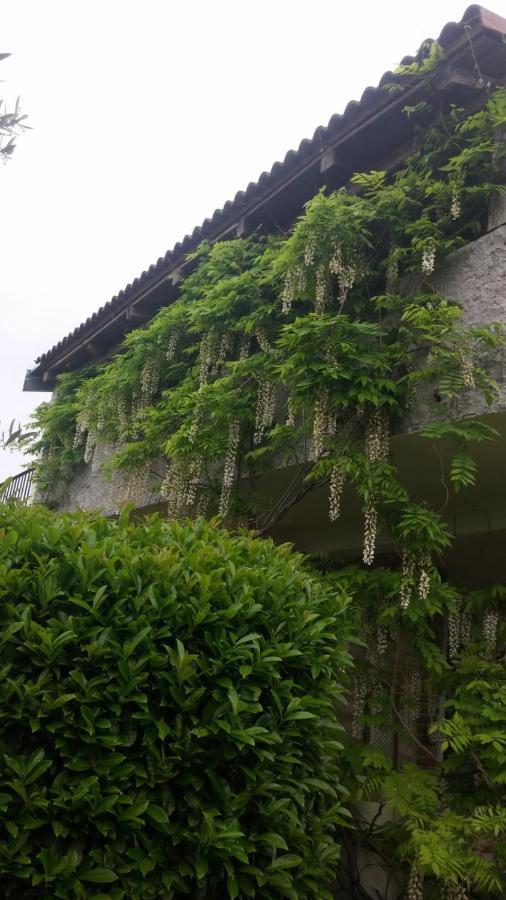 约瑟菲娜公寓 波雷奇 外观 照片